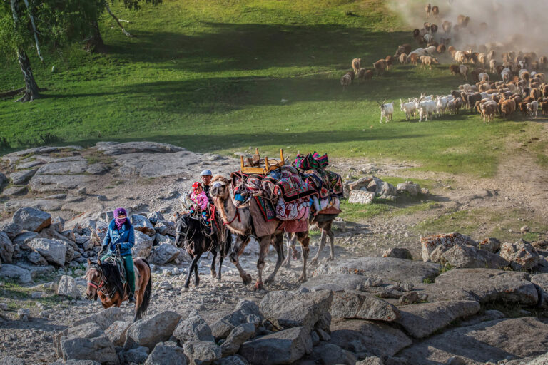 Nomadic Life - 09 Lead the Flock